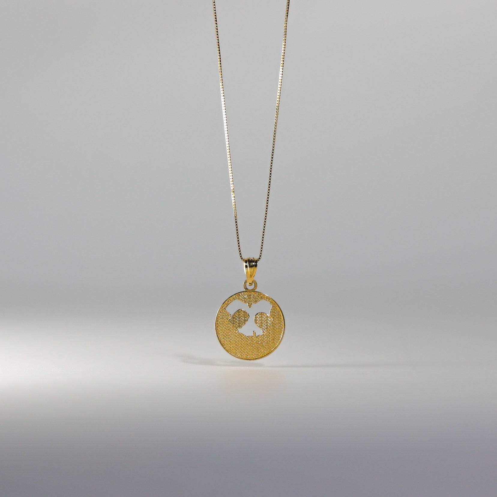 24K Gold Plated Baptism Round Medal - Religious Pendant for Christening Gifts & First Communion Jewelry - Perfect for Baby Baptism, Religious Ceremonies & Faith-Based Occasions