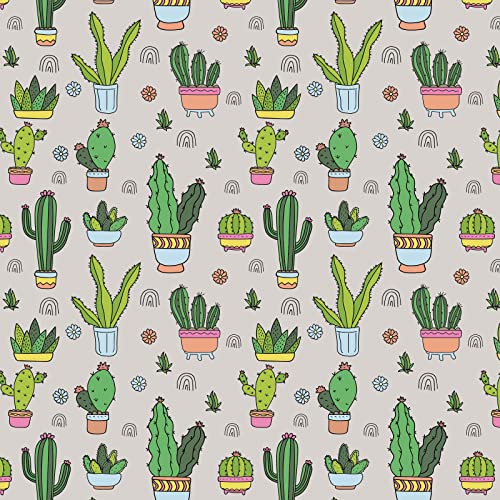 Cacti a