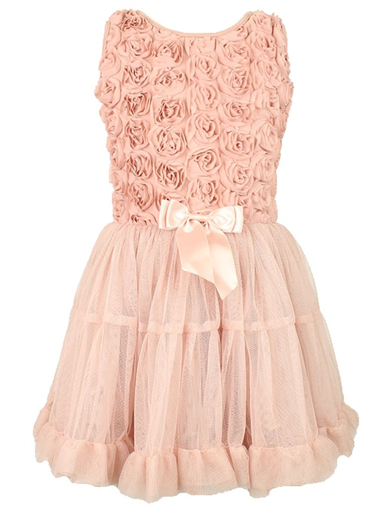 Dusty Rose Baby Girl's Tulle Tutu Dress with Rosette Embellishments - Perfect for Birthday Parties, Photo Shoots & Special Occasions
