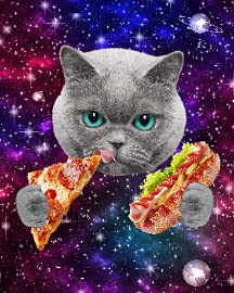 Funny Cat Hotdog Pizzas Star
