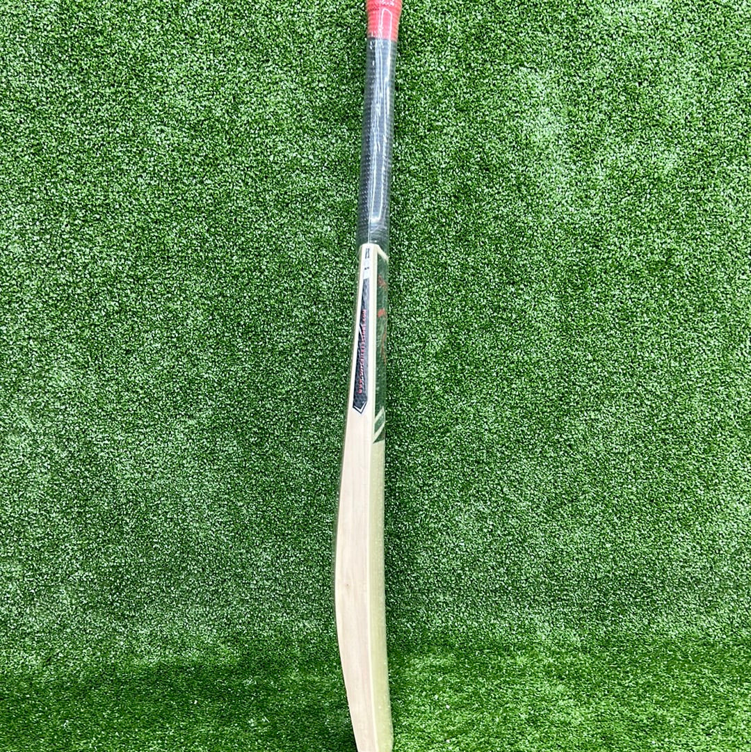 Raydn Steel MS Dhoni Profile Kashmir Willow Lightweight Junior Tennis Ball Cricket Bat - Perfect for Kids & Beginners Training & Practice