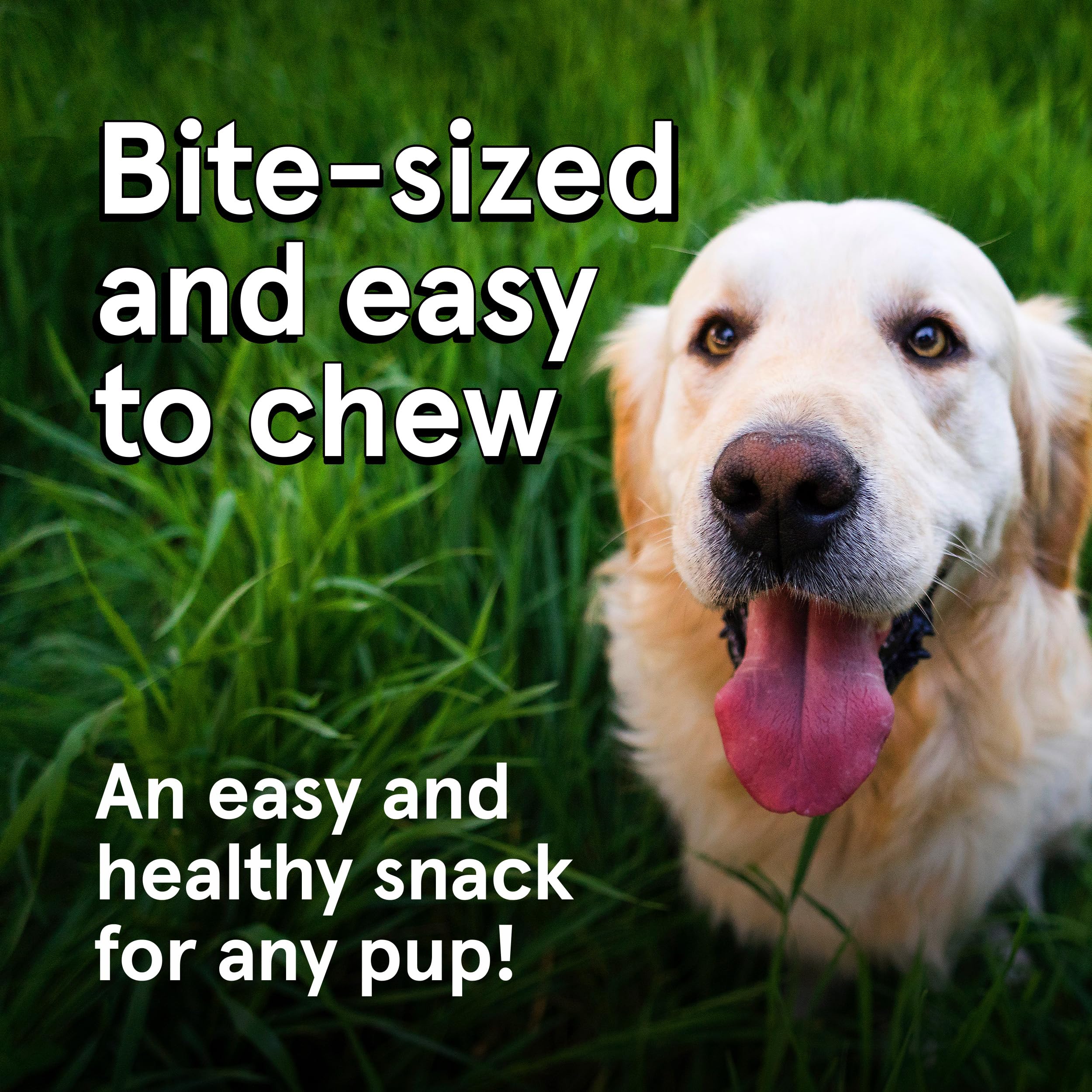 Premium Grain-Free Dog Treats - 12oz Bag of Air-Dried Venison & Chicken Jerky for Dogs - 95% Human-Grade, Free-Range Meat - All-Natural, Bite-Sized Training Rewards & Healthy Snacks for Small, Medium & Large Dogs - Perfect for Outdoor Adventures, Obedience Training & Daily Treats