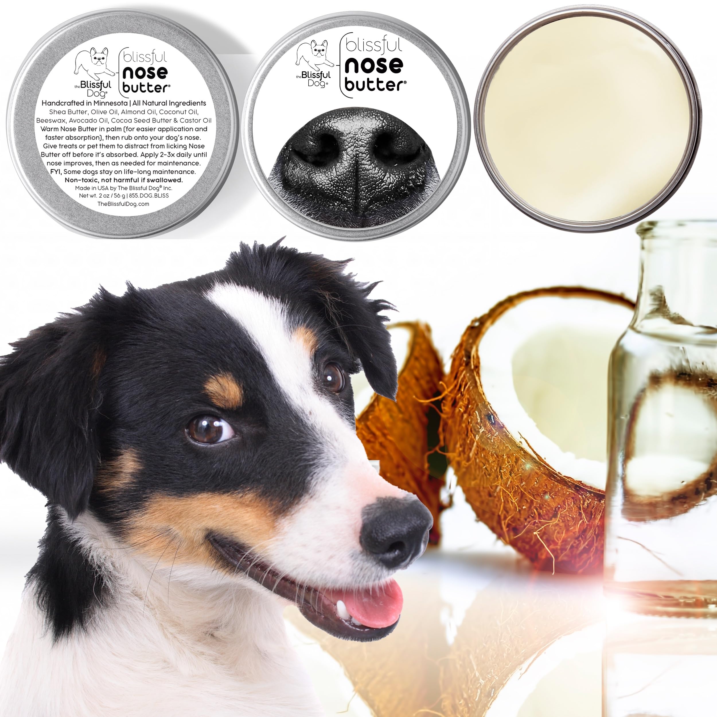 The Blissful Dog Unscented Nose Butter for Dry & Cracked Dog Noses | Natural Paw Balm for All Breeds | Perfect for Winter Protection & Daily Care