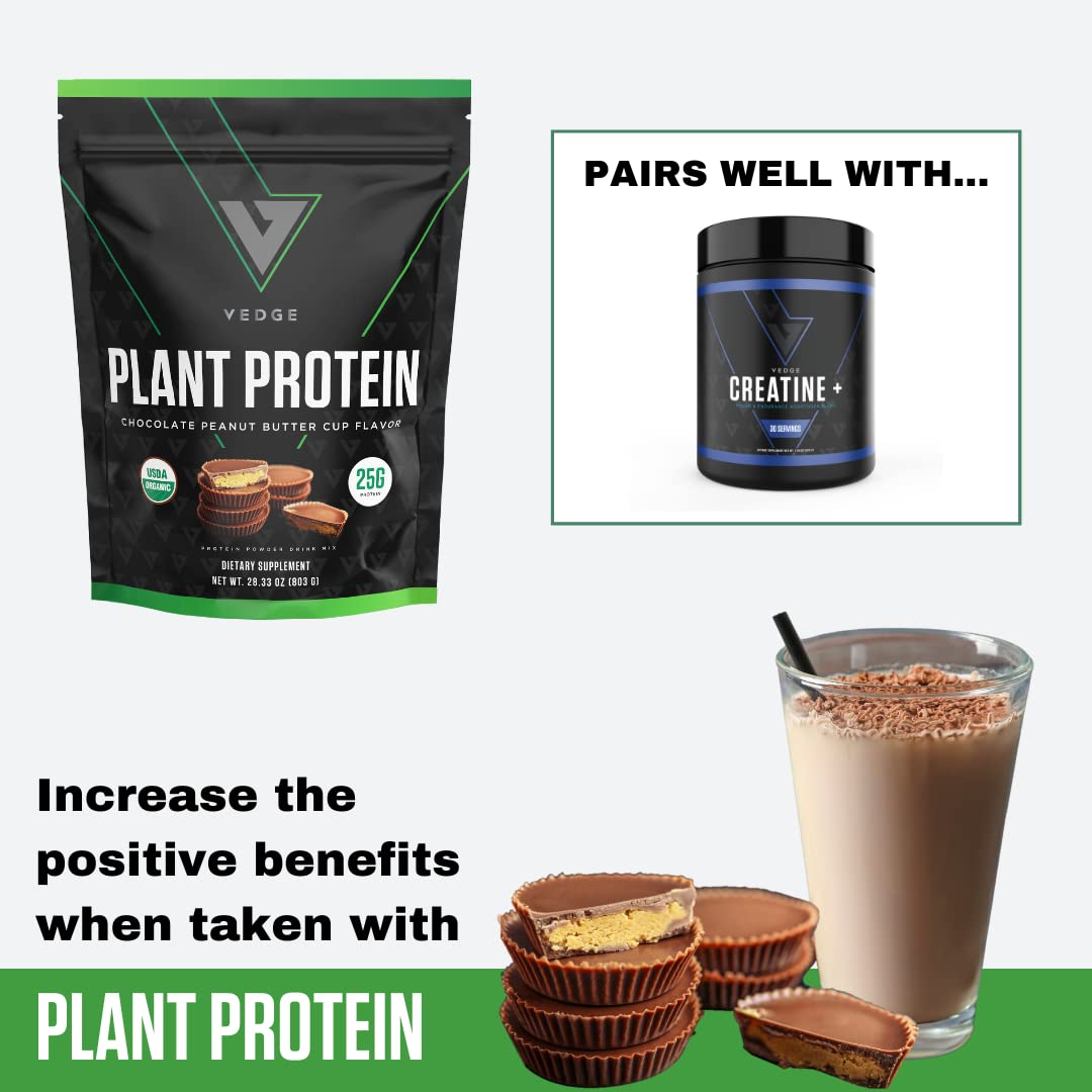 Vedge Certified Organic Plant Protein Powder - Chocolate Peanut Butter Cup (20 Servings) | Vegan, USDA Organic, Gluten Free, Dairy-Free Protein Supplement for Smoothies, Baking & Post-Workout Recovery