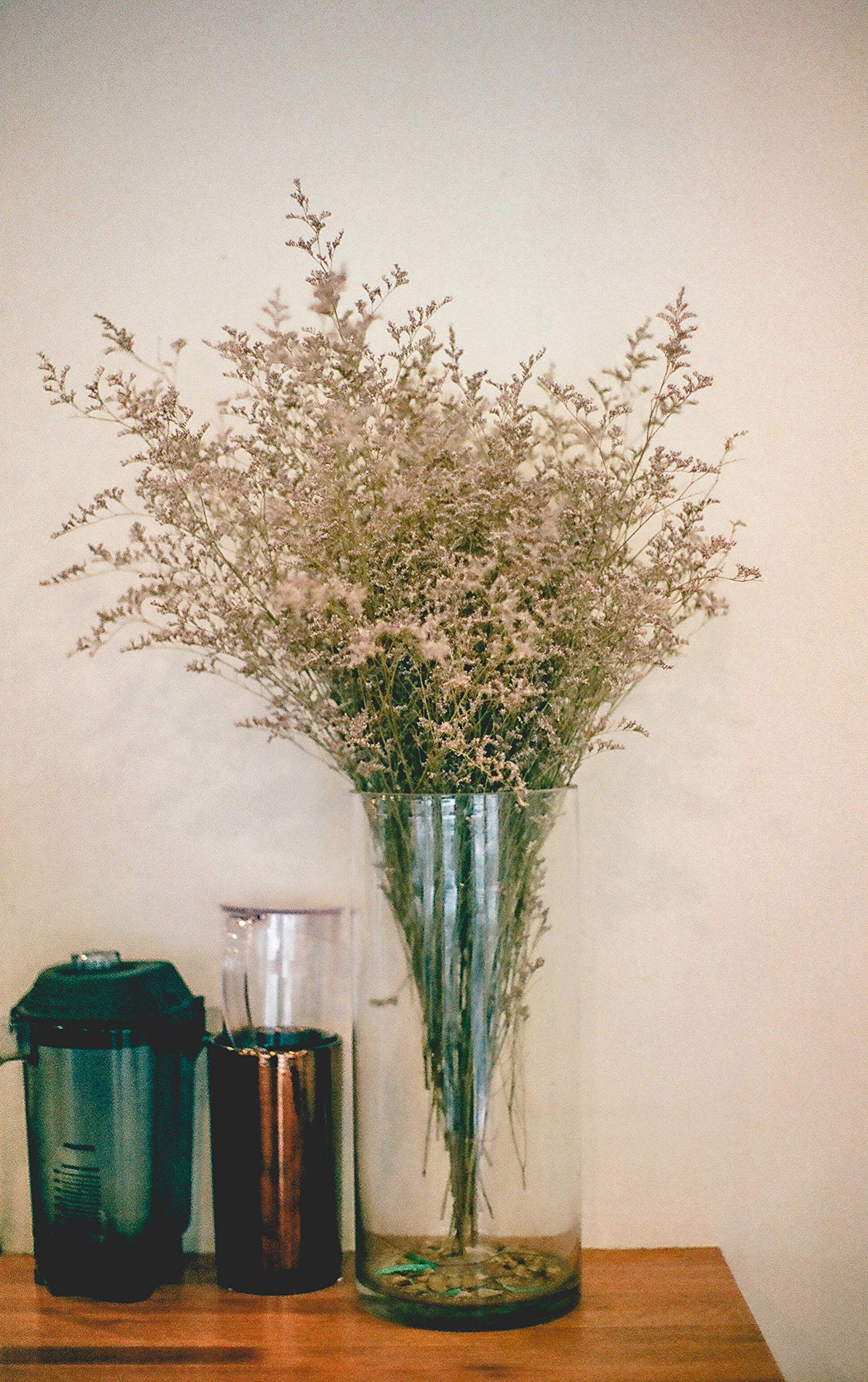 WGV Clear Glass Cylinder Vase Bulk Set - 6