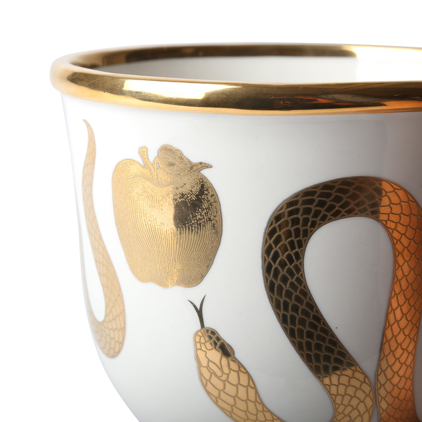 Botanical Snake & Apple Serving Bowl - Elegant Fruit Salad & Snack Dish for Home Dining & Party Decor