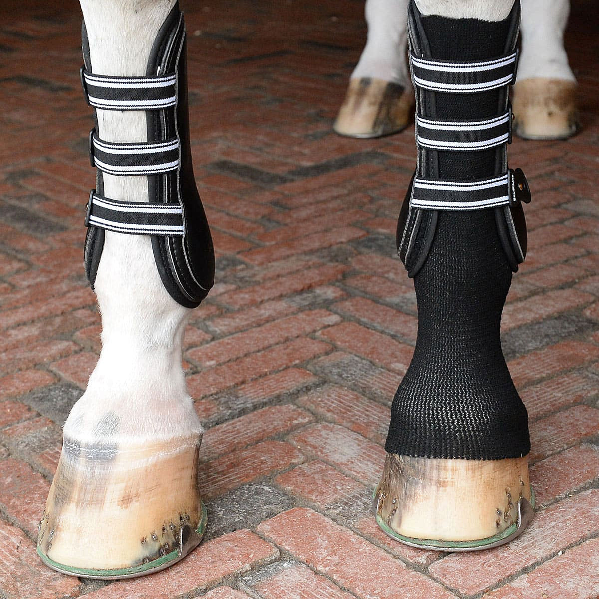 EquiFit GelSox Horse Boots - Breathable & Shock-Absorbing Leg Protection for Riding, Training & Show - Perfect for Dressage, Jumping & Trail Riding
