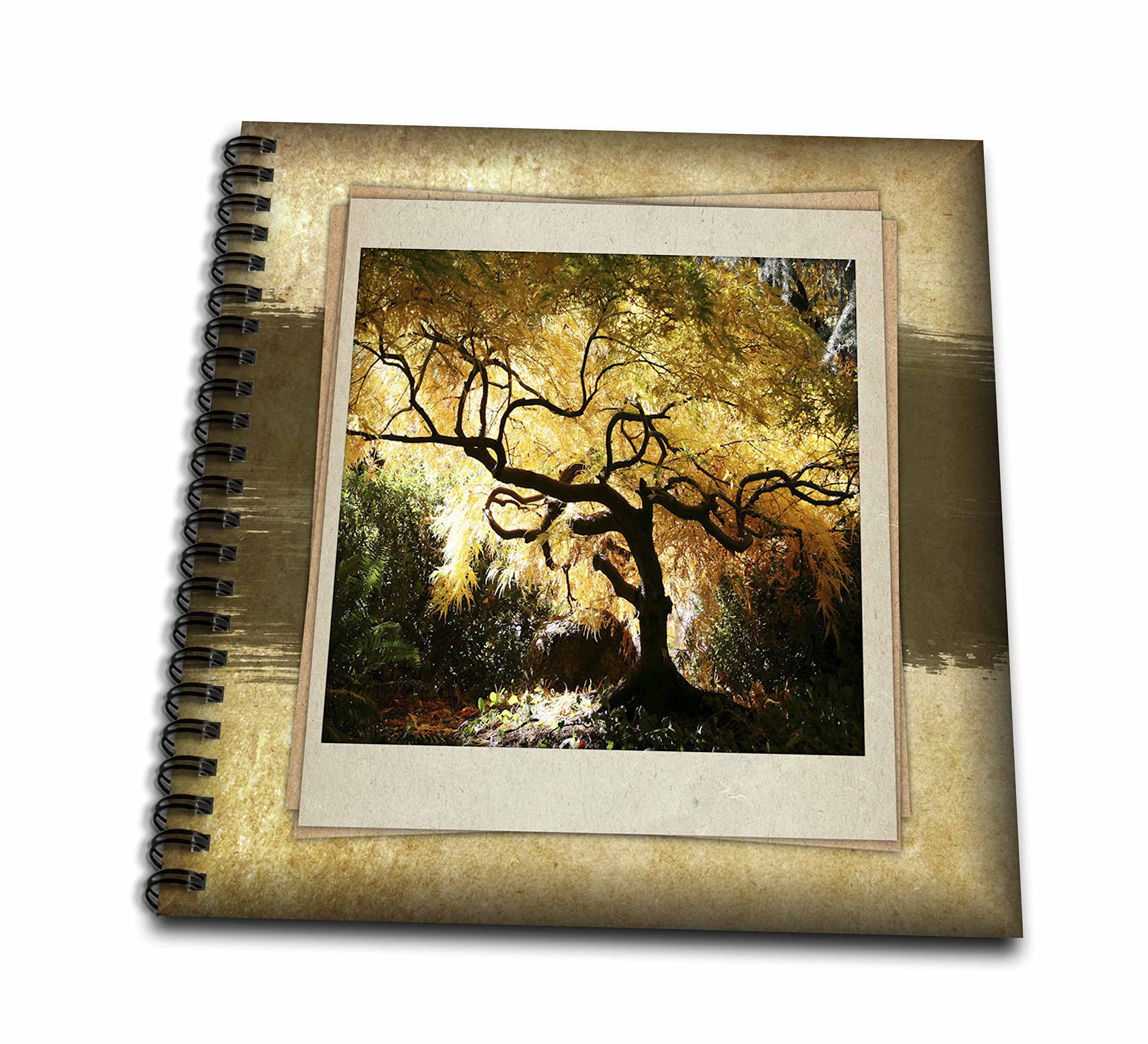 3D Rose Bonsai Japanese Maple Drawing Book - Step-by-Step Guide for Beginners | Perfect for Home Decor, Gifts & Art Therapy