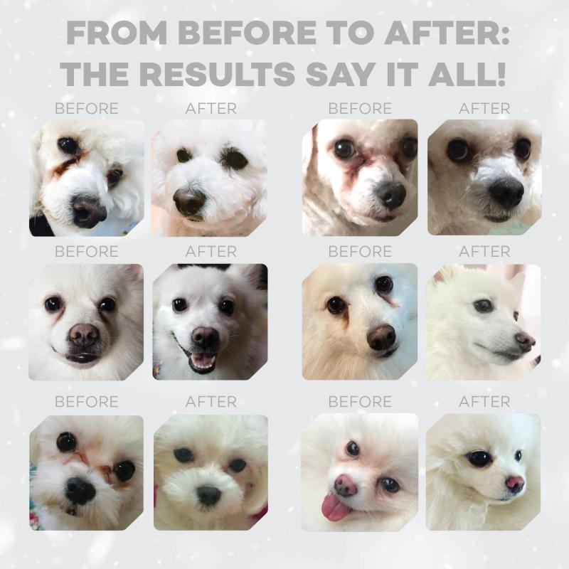 Premium Puppy Food for Light Coat Dogs (Up to 4 Months) - Salmon Recipe for All Breeds - Ideal for Growing Puppies & Coat Maintenance