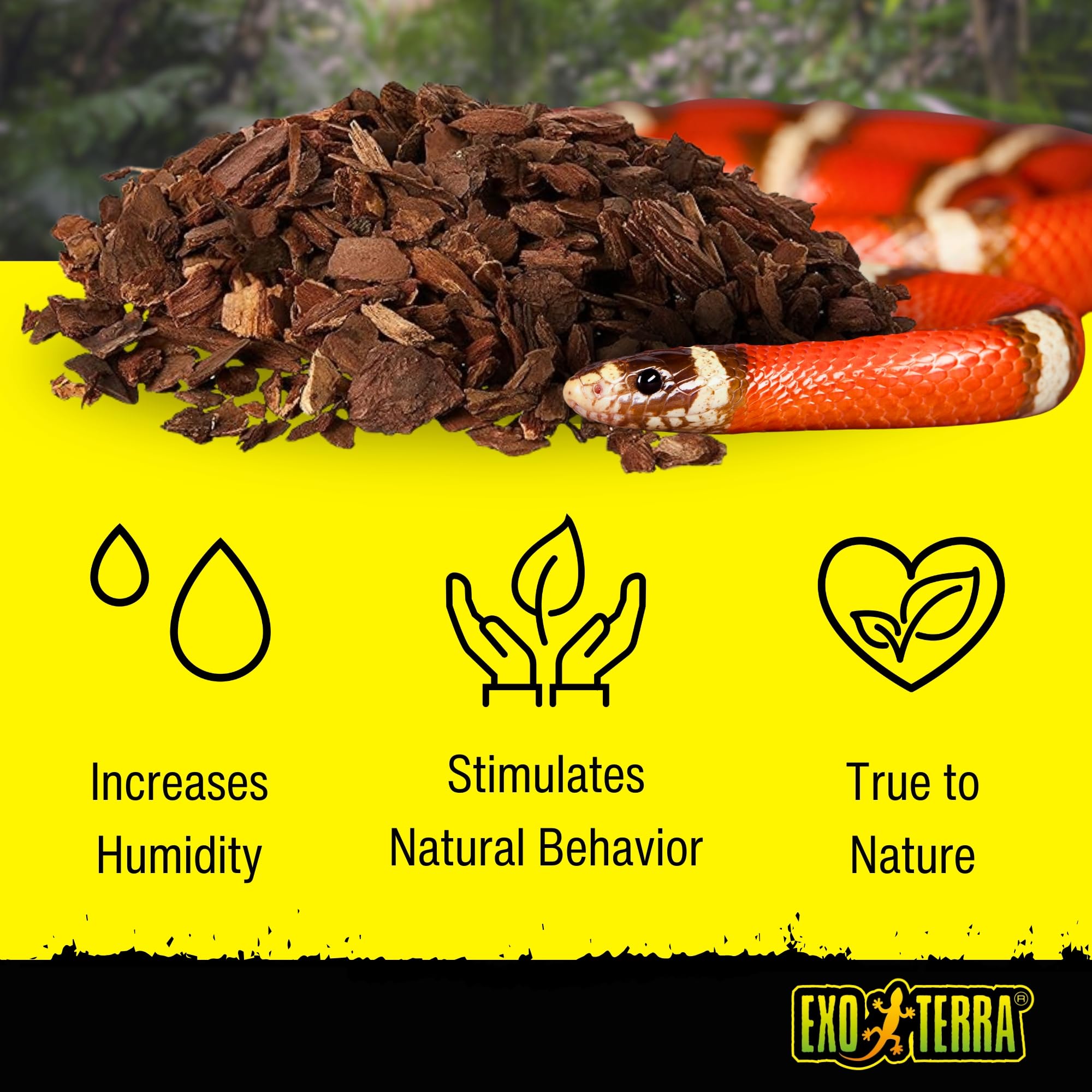 Exo Terra Forest Bark Natural Terrarium Substrate - 8 Quarts (PT2752) | 100% Natural Fir Bark for Reptiles & Amphibians | Moisture Retention & Humidity Control | Ideal for Tropical Reptiles, Frogs & Vivariums | Encourages Natural Digging Behavior - Perfect for Bioactive Terrariums & Reptile Habitats