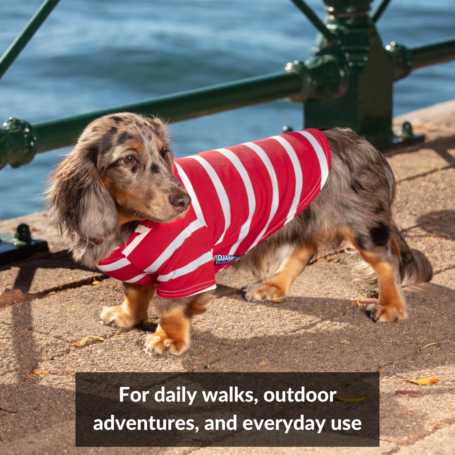 DJANGO Dog Hoodie - Soft & Stretchy Winter Sweater for Dachshunds & Small Dogs - Cozy Red Dog Sweatshirt with Elastic Waistband & Harness Hole - Machine Washable Pet Clothing for Cold Weather - Perfect for Outdoor Walks & Indoor Lounging