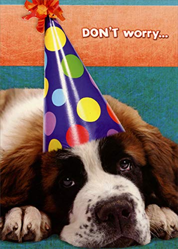 Funny Worried Dog in Polka Dot Party Hat Birthday Card - Humorous Designer Greetings for Dog Lovers & Birthday Parties