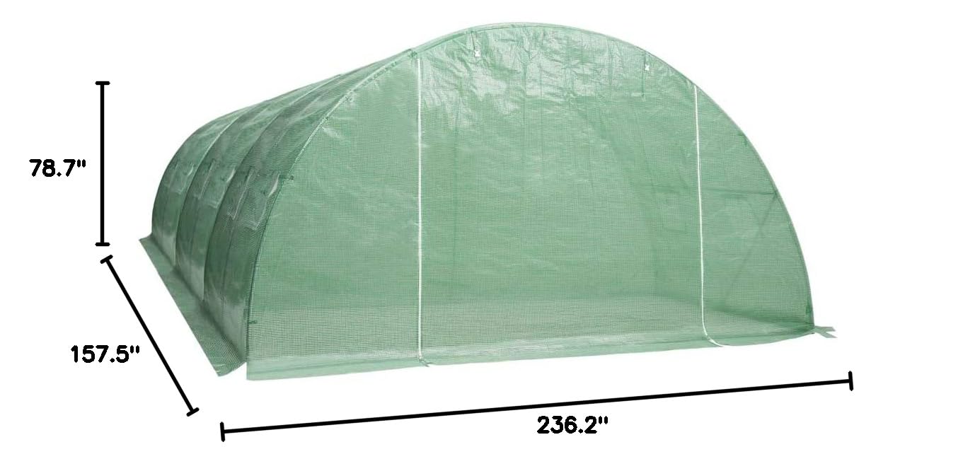 Walk-in Greenhouse Tent 258.3 ft² (236.2