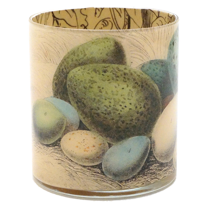 DC Eggs Front JPG - High-Quality Digital Image Download for Easter, Holidays, and Social Media Posts