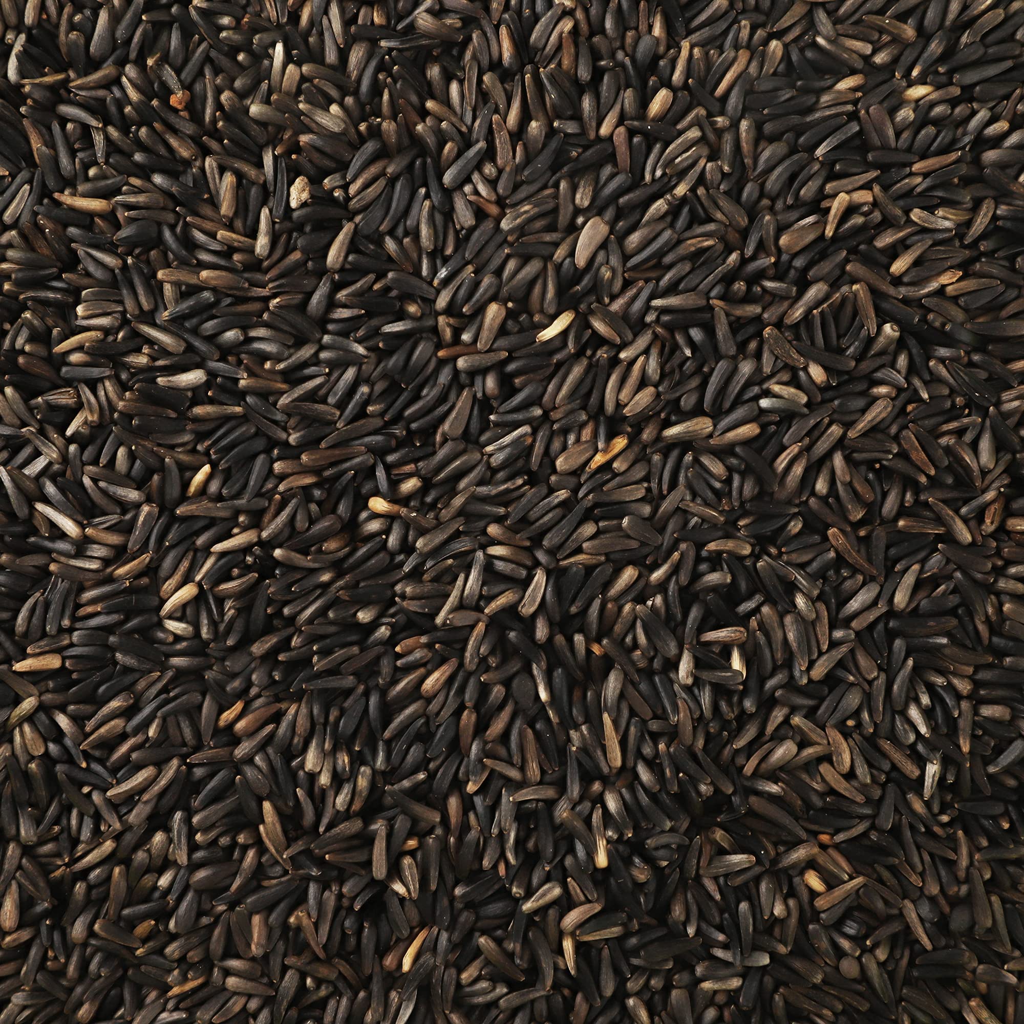 Premium Nyjer/Thistle Bird Seed - 10lb No-Grow Wild Bird Food with Free Mesh Sock Feeder | Attracts Finches & Songbirds | Backyard Birdwatching & Garden Feeding