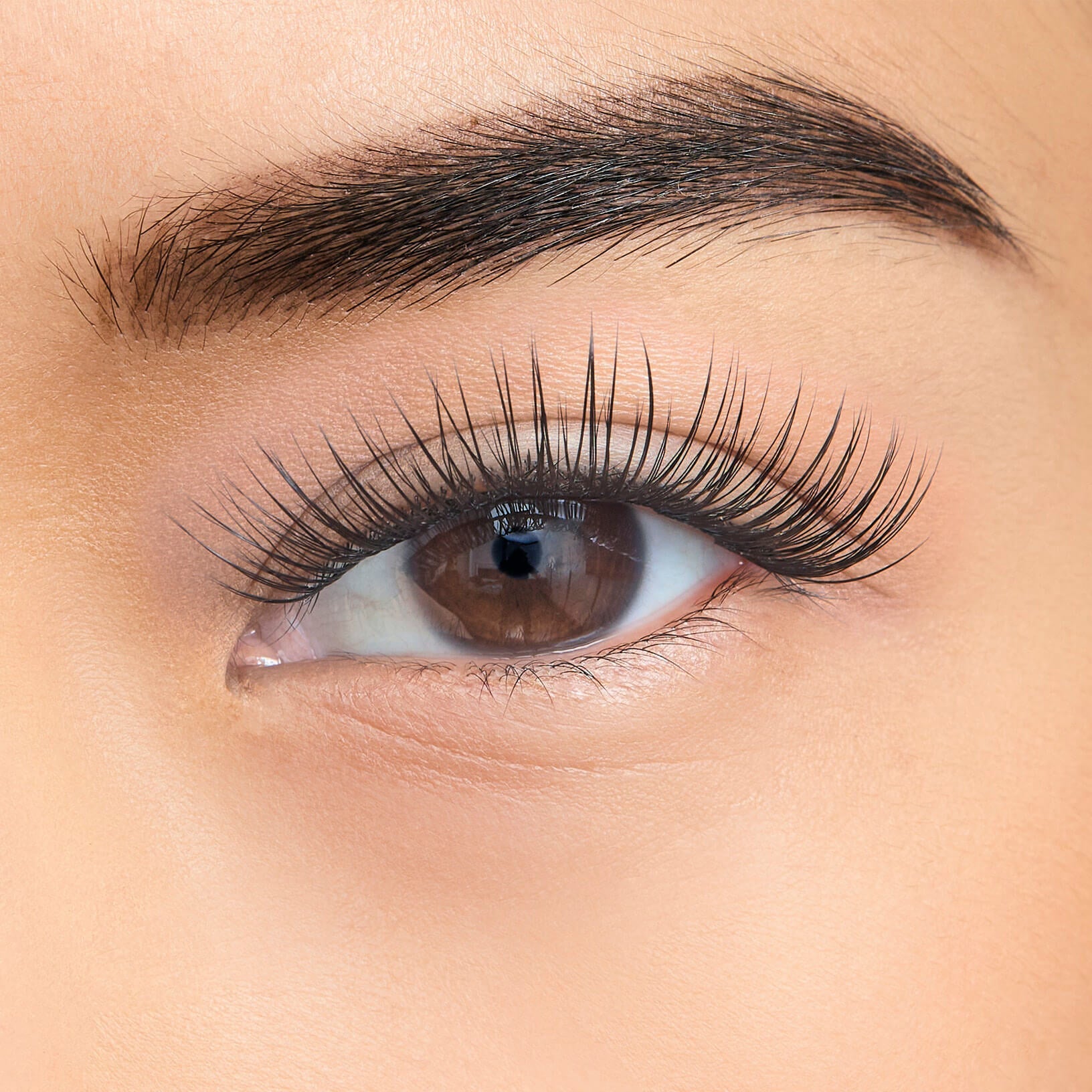 Drama Core Gossamer® False Eyelashes - Natural & Voluminous Lashes for Stunning Eye Makeup | Perfect for Parties, Weddings, and Special Occasions