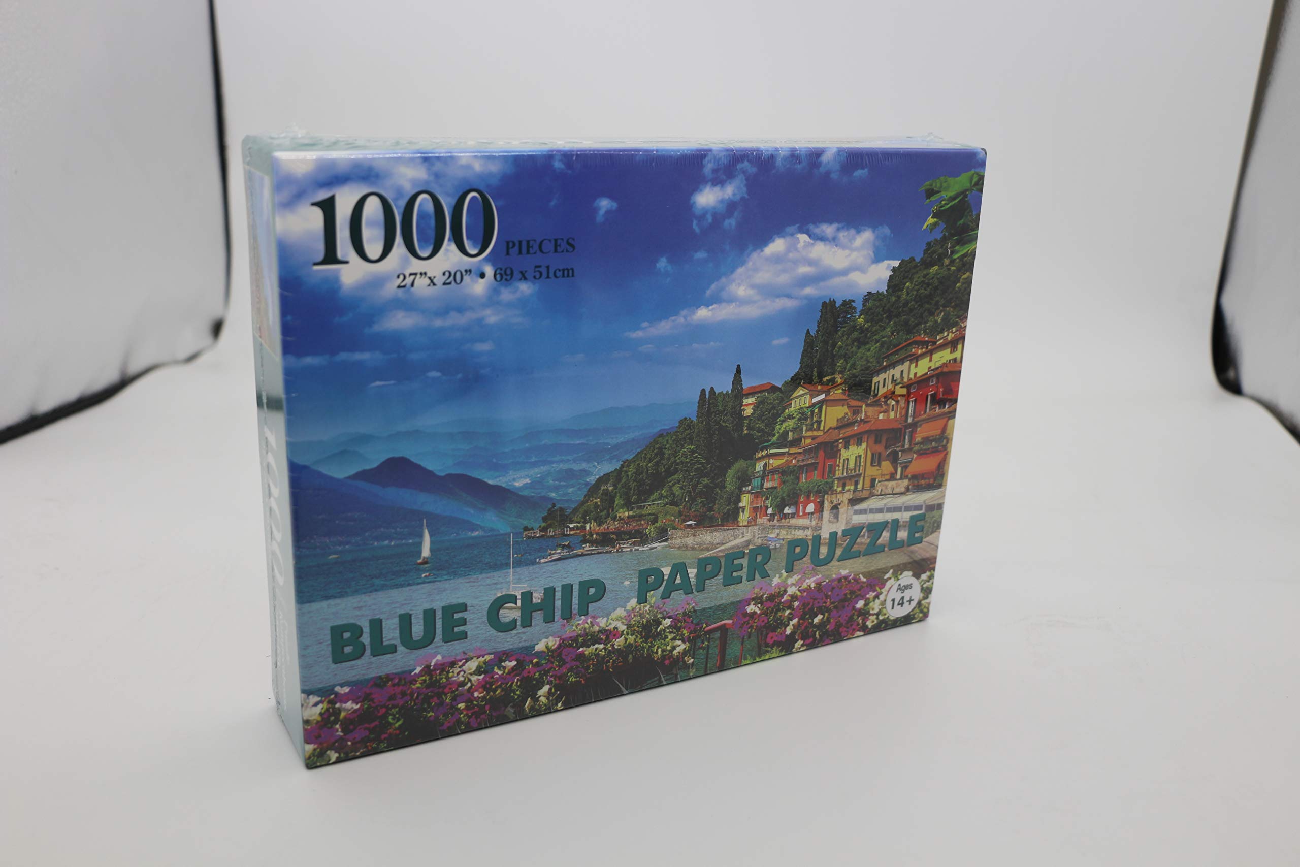 1000 Piece Jigsaw Puzzles for Adults and Kids - Large 27.2