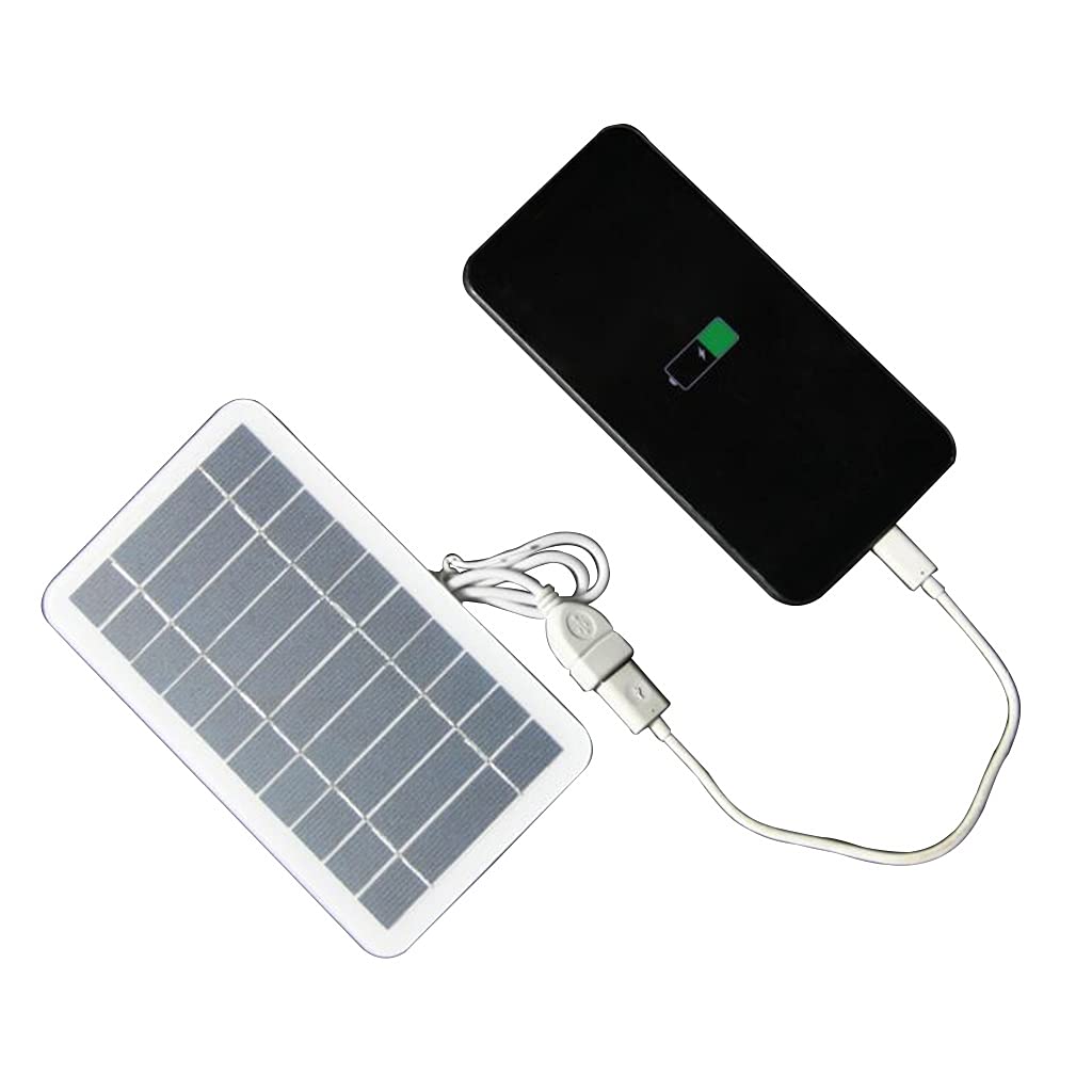 2W Portable Solar Panel with USB Output - Lightweight & Flexible Solar Charger for Phones, Camping, Hiking & Outdoor Activities