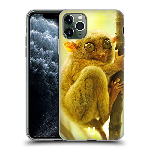 Tarsier Monkey