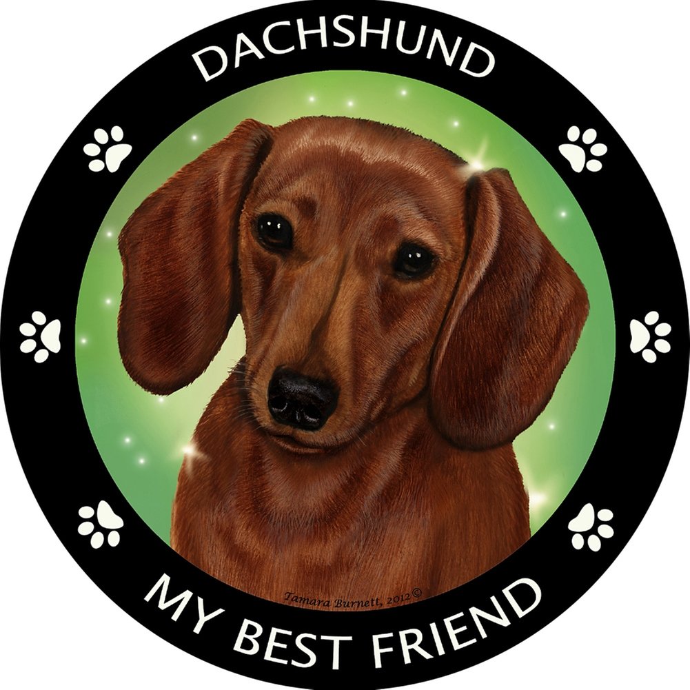Funny Dachshund Red Dog Magnet - Best Friend Gift for Pet Lovers - Perfect for Fridge, Lockers & Office Decor