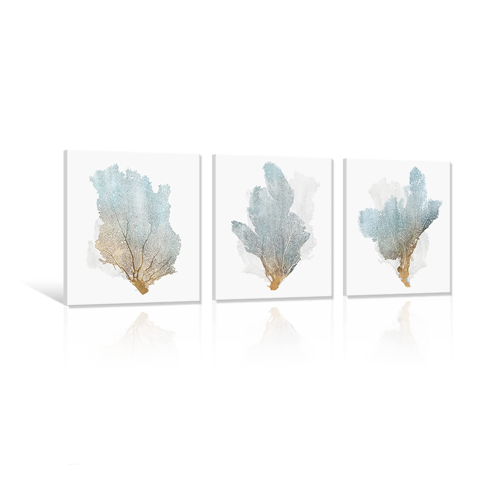 JAPO ART 3-Piece Framed Coral Wall Decor - Coastal Nautical Sea Fan Prints (16x16 Inches) for Bathroom & Bedroom - Beach House Decor, Ocean-Themed Home Accents | Perfect for Coastal Living Rooms, Spa Bathrooms & Seaside Bedroom Design