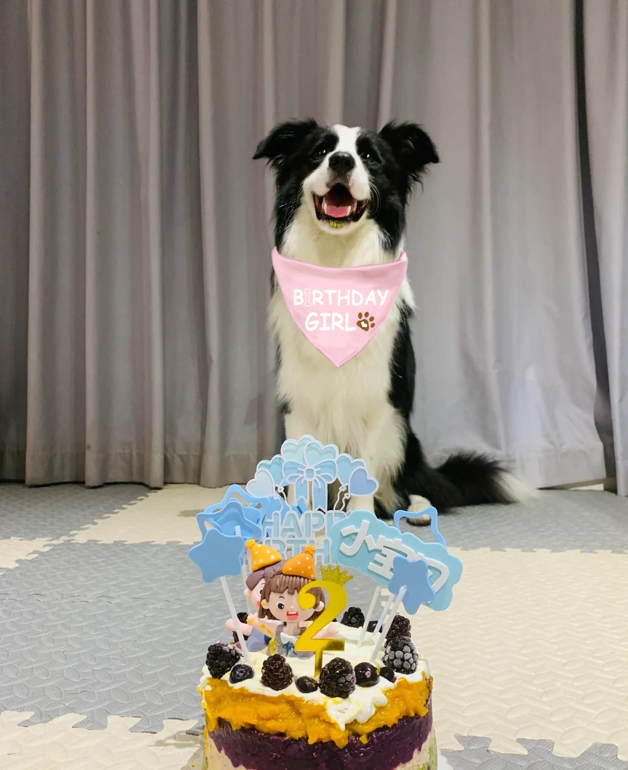 Dog Birthday Bandana for Small, Medium & Large Dogs - Cute Pet Birthday Accessories for Boys & Girls | Perfect for Birthday Parties & Photo Shoots