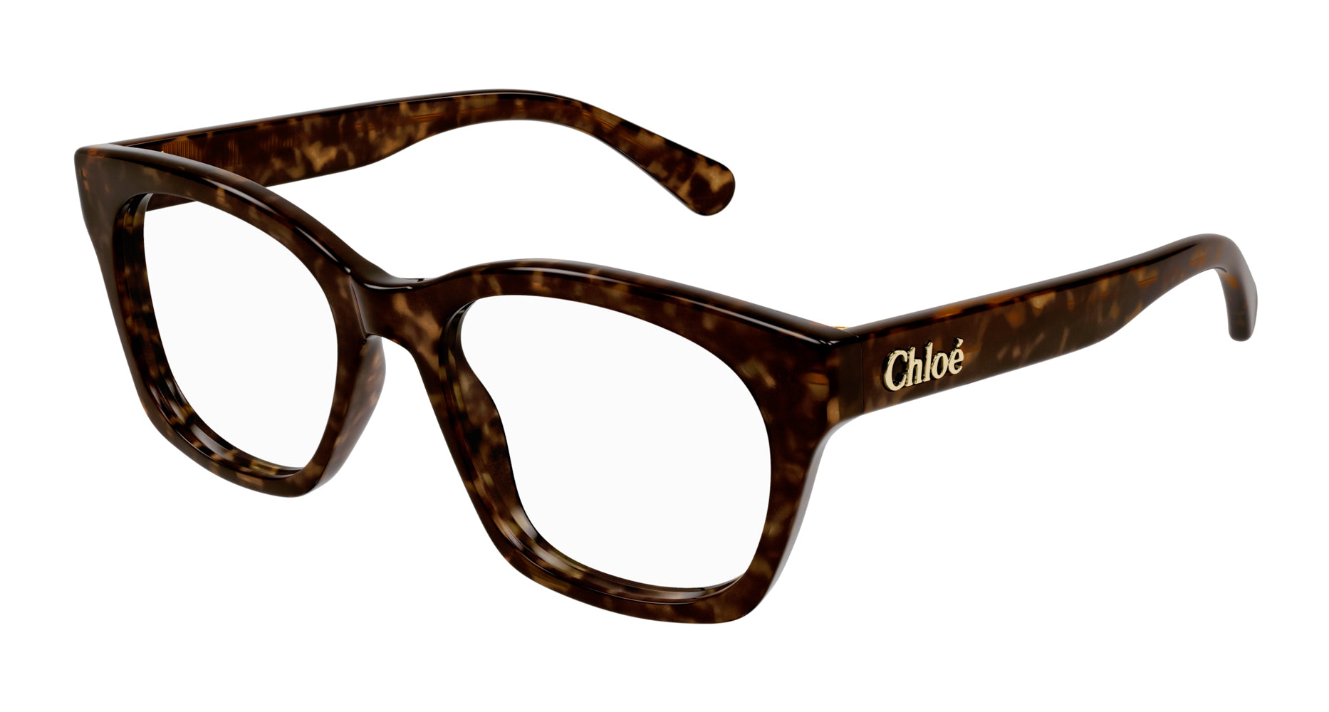 Chloe CH0244O Sunglasses for Women - Classic Aviator Style with UV Protection - Perfect for Driving, Travel & Outdoor Activities