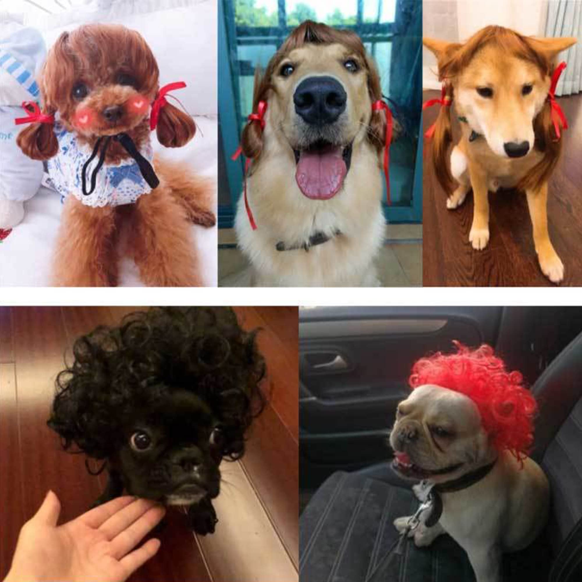 Funny Halloween Pet Wigs for Dogs & Cats - Cute Clown Costume Wig for Dog Birthday Parties & Cosplay | Perfect for Pet Costume Contests & Holiday Photos