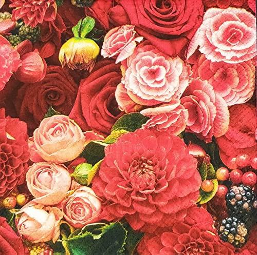 Red Roses Dahlia