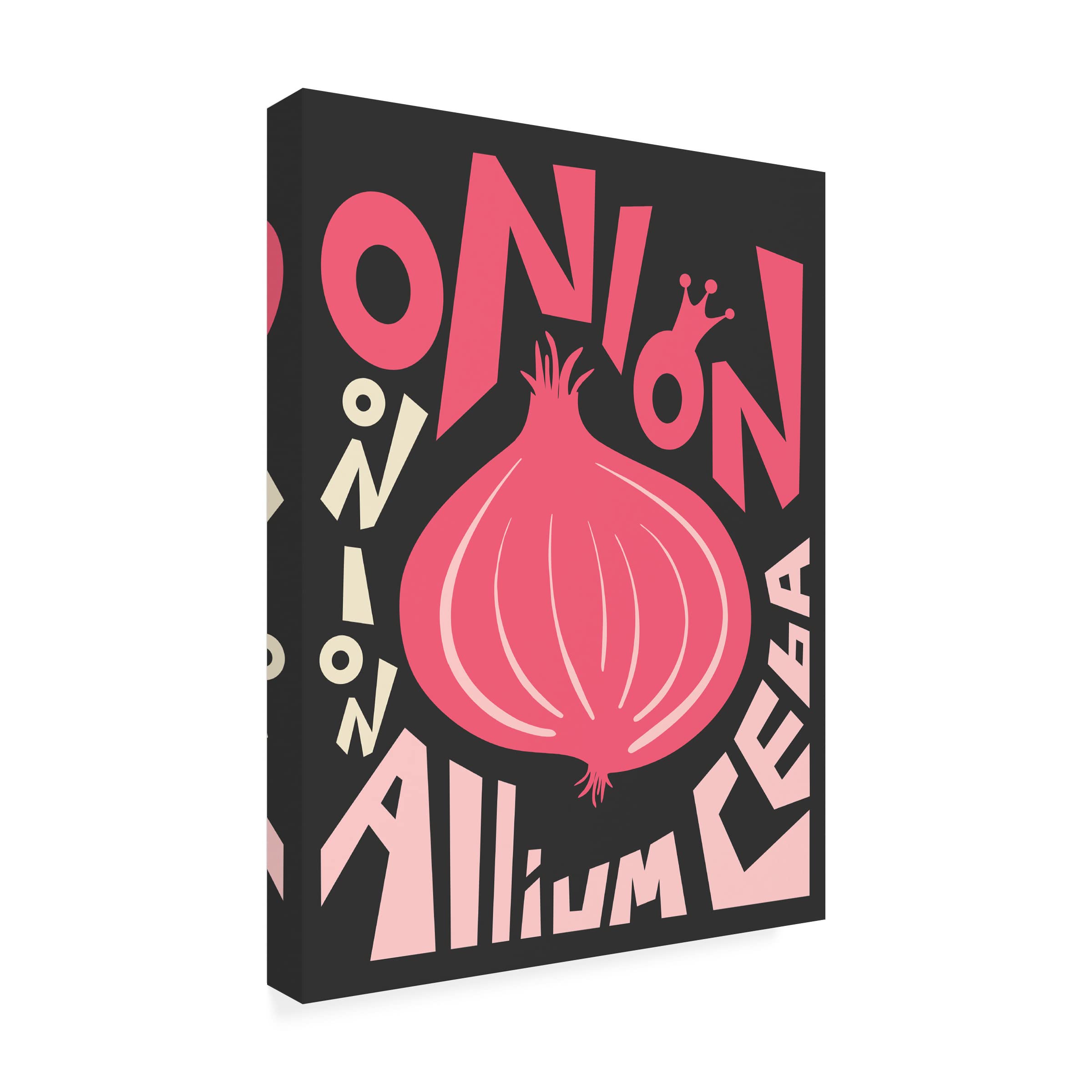 Trademark Fine Art 'Kitchen Onion' Canvas Wall Art Print by Ayse - Modern Home Decor for Kitchen, Dining Room & Farmhouse Style Interiors