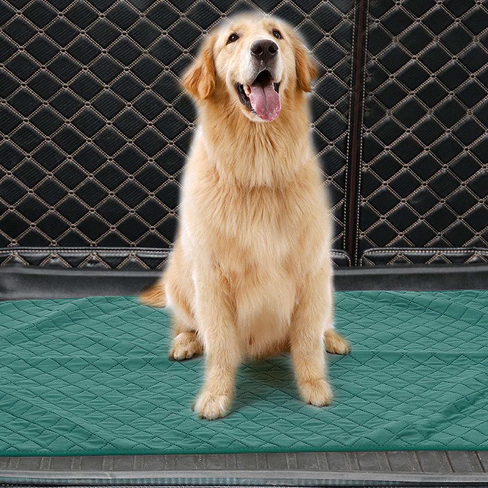 NUZYZ Reusable Super Absorbent Washable Pet Pee Pad - Waterproof Dog Training Mat for Puppy, Adult Dogs & Cats - Perfect for Crate, Bed, Car & Home Use