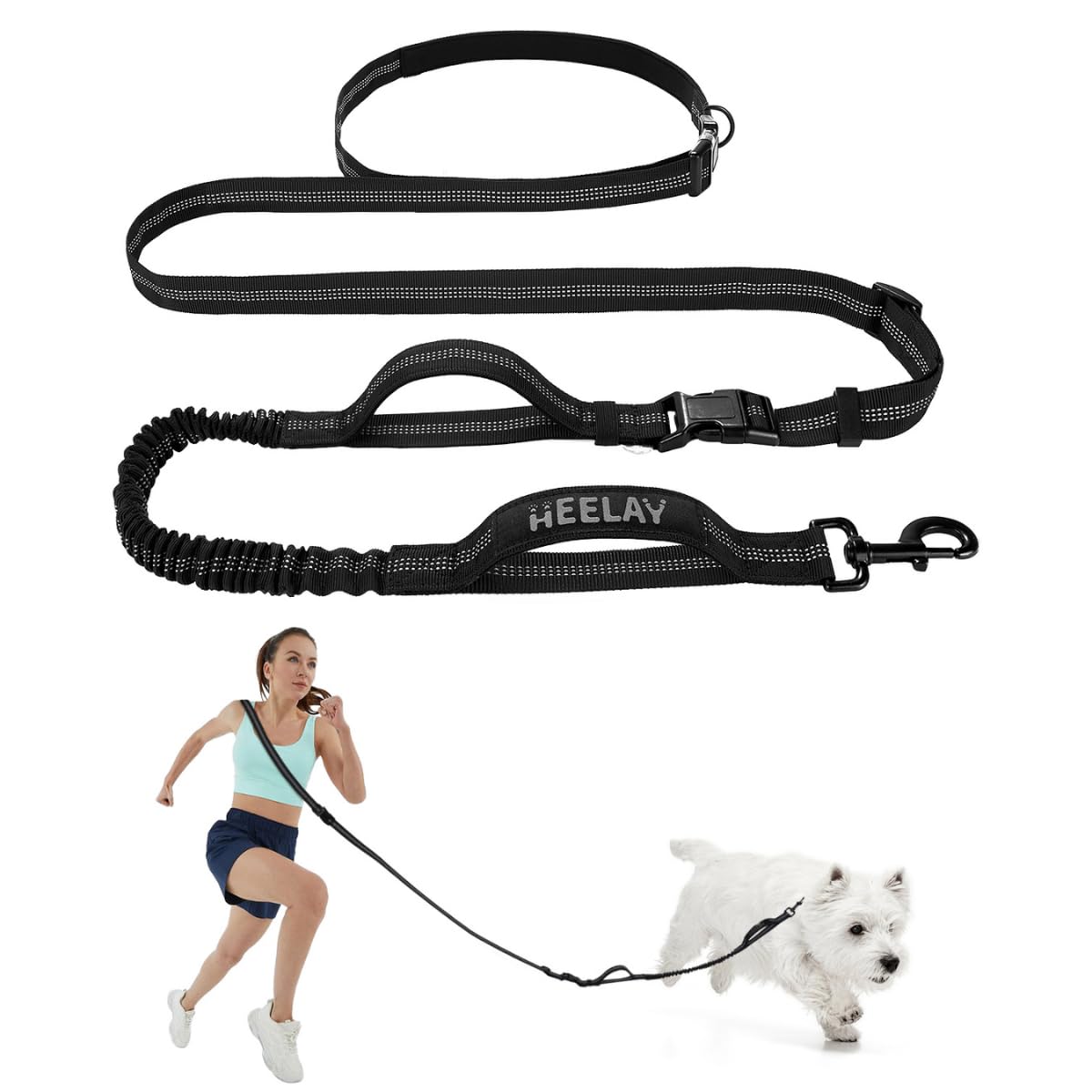 Hands Free Bungee Dog Leash with Dual Padded Handles & Reflective Threading - Adjustable Crossbody Leash for Medium to Large Dogs (30-90 lbs) - Perfect for Jogging, Running, Walking & Safe Car Travel with Seatbelt Attachment