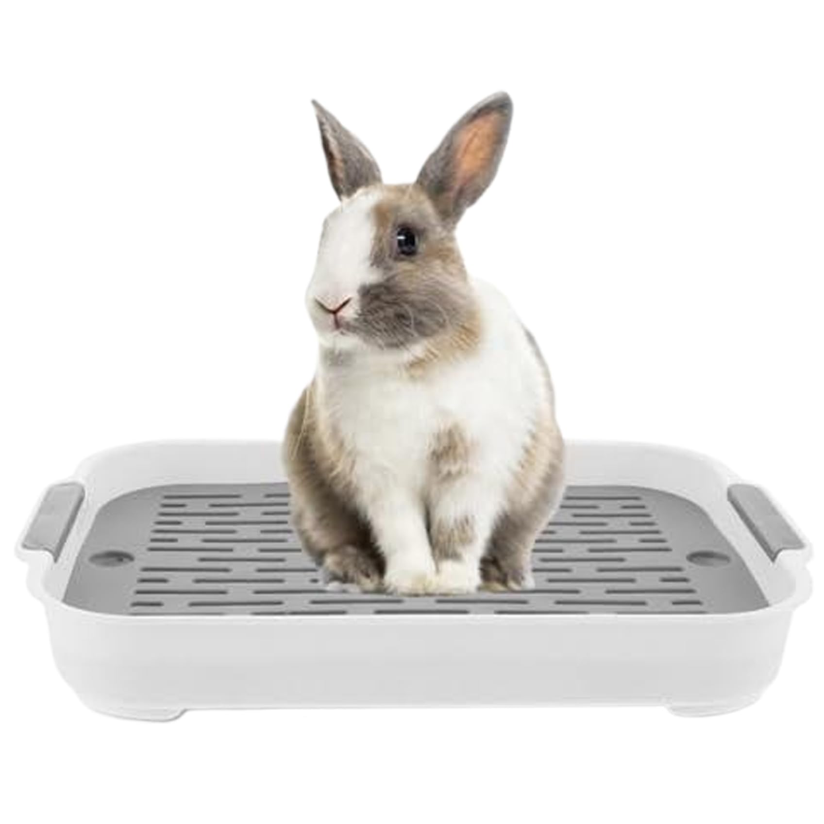 Dual Layer Rabbit Litter Box - Spacious 11x7x2 Inch Small Animal Litter Box with Handle for Bunny, Guinea Pig & More | Easy-Clean PP Plastic Design for Indoor Pet Use