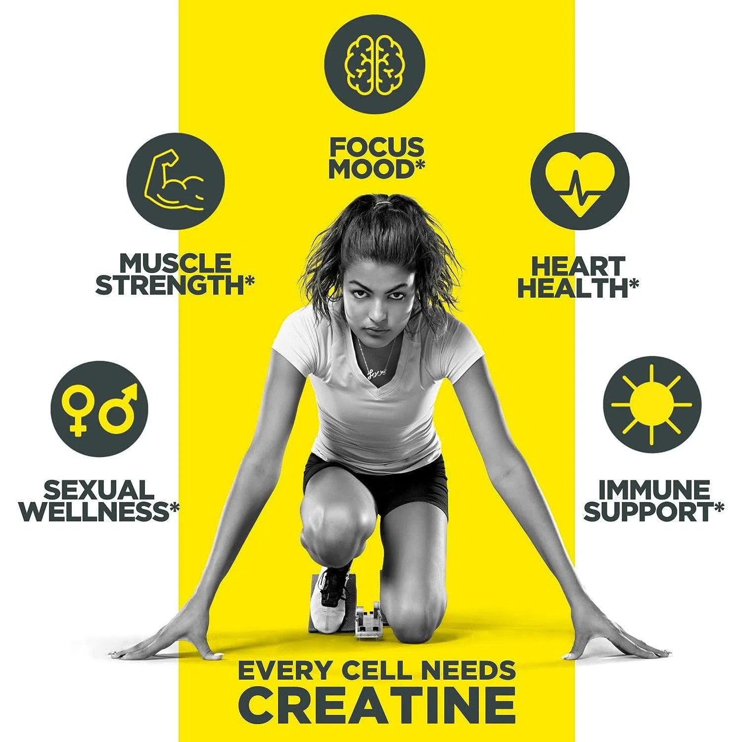 CON CRET Patented Creatine HCl Powder - Premium Muscle Building Supplement for Athletes & Bodybuilders - Supports Strength, Endurance & Recovery - Ideal for Pre & Post Workout