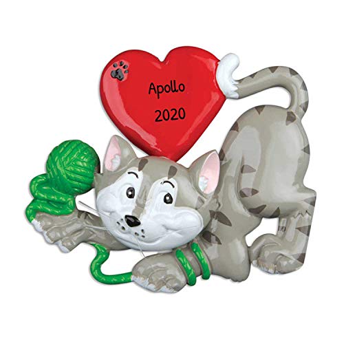 Playful Grey Cat