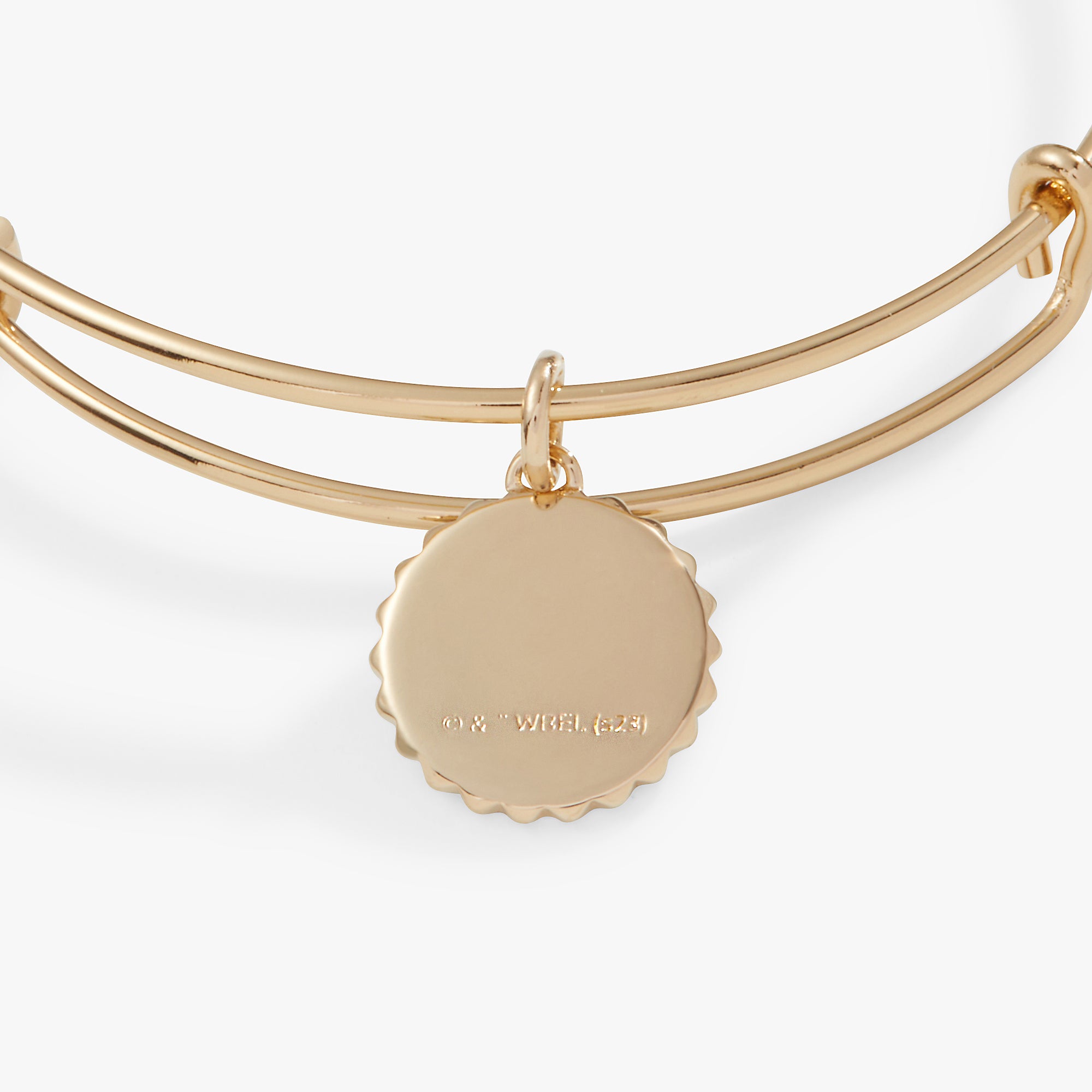 Harry Potter™ Gryffindor House Charm Bangle | Official Hogwarts Wizarding Jewelry | Perfect for Cosplay, Halloween & Potterhead Gifts
