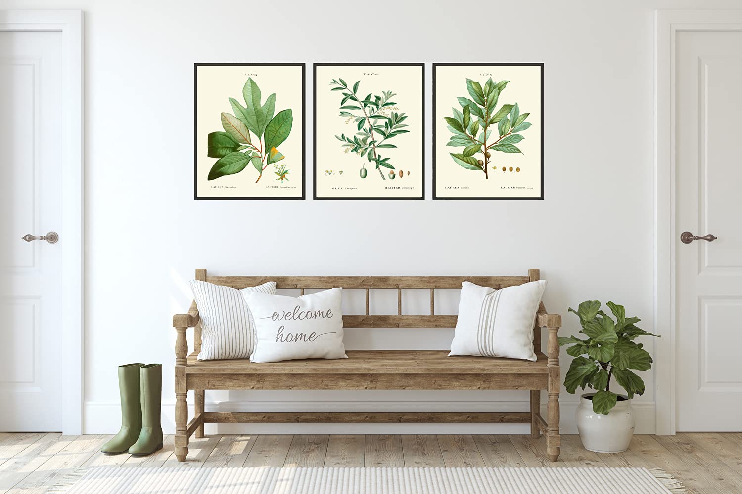 Bay Laurel Olive Herb Spice Botanical Kitchen Wall Art Print Set of 3 - Mediterranean Seasoning Cooking Decor - Unframed 16x20 Inches - Perfect for Home Kitchen, Dining Room & Farmhouse Decor