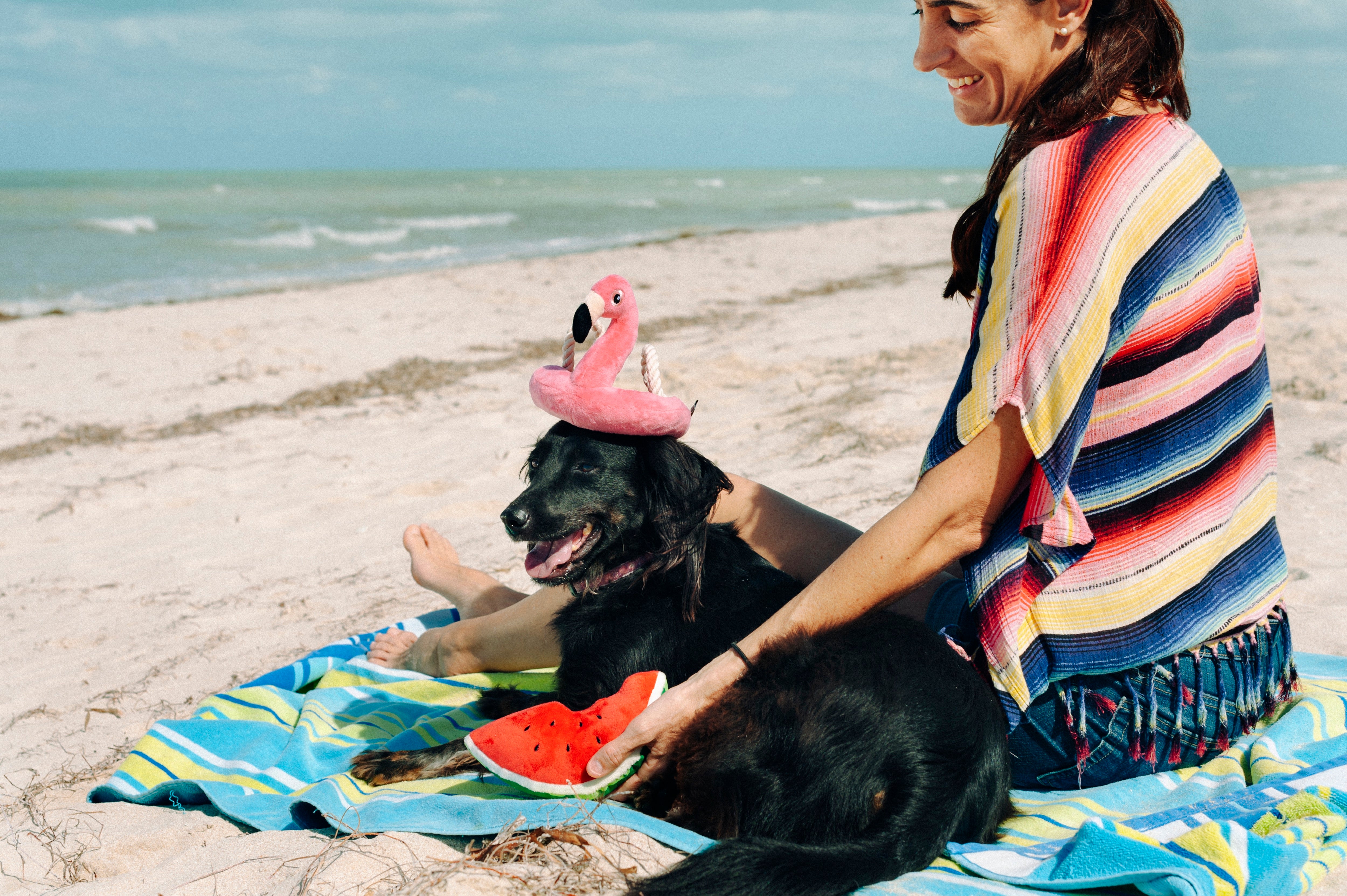Tropical Paradise™ Watermelon Dog Plush Toy - Durable & Fun Chew Toy for Small & Large Dogs | Perfect for Playtime, Training & Cuddling | Pet P.L.A.Y.