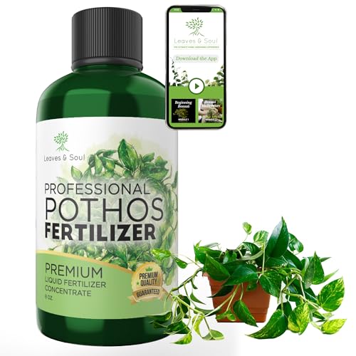 Pothos