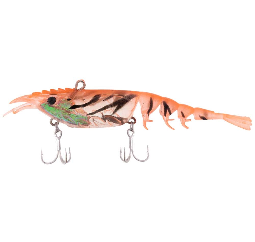 Pink Shrimp