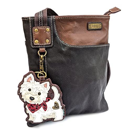 Brown_ Westie