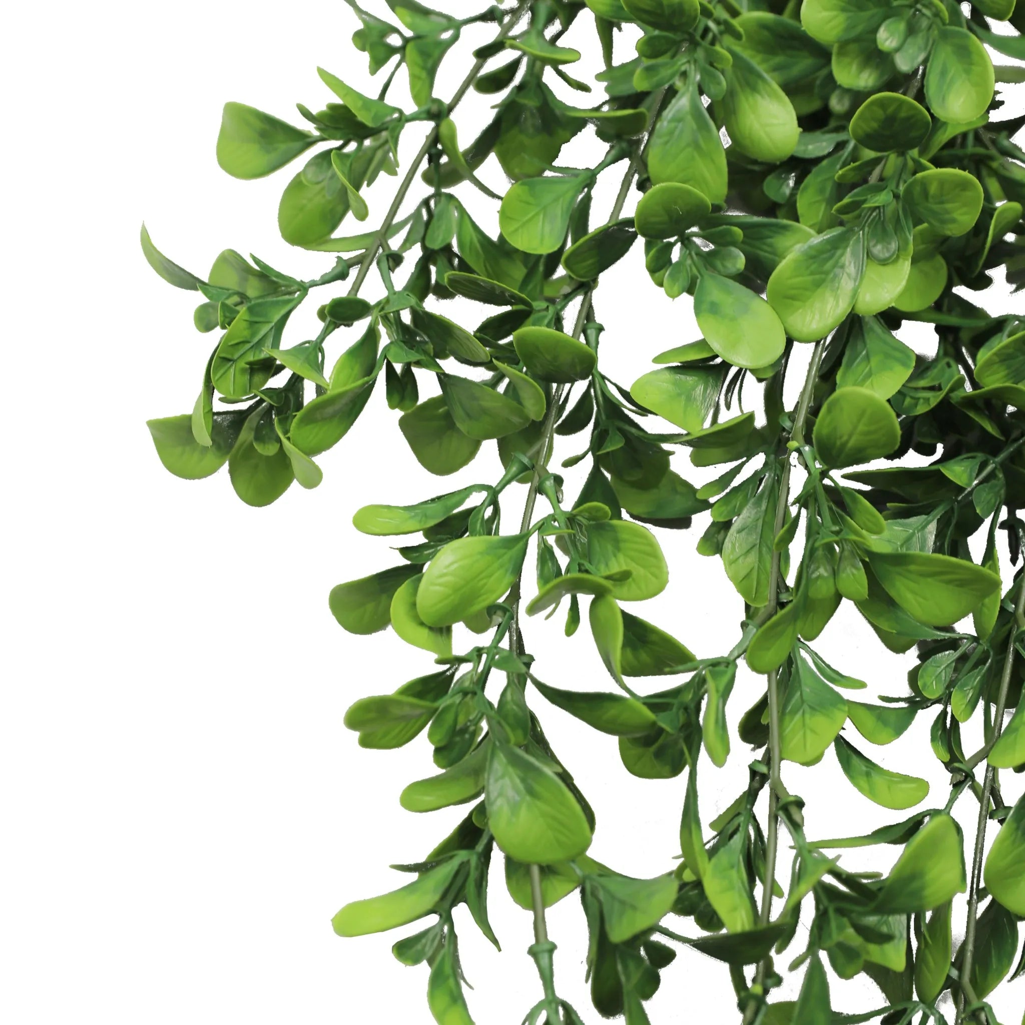 UV & Fire Rated Hanging Creeping Fig Vine - 18cm x 76cm Artificial Green Wall Decor for Indoor/Outdoor Home & Office Decoration