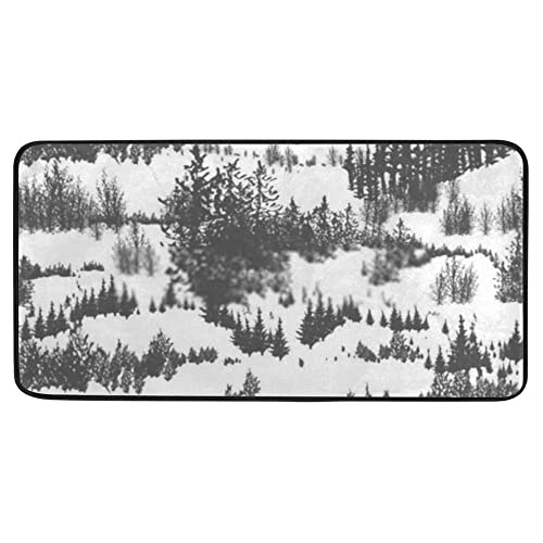 Overgrown Evergreen Coniferous Forest