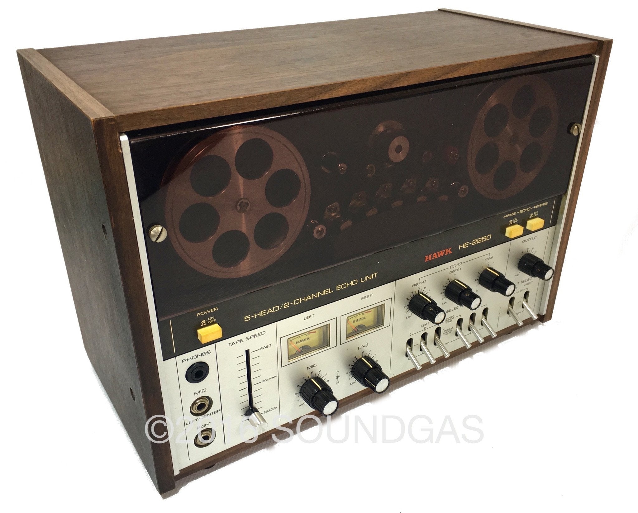 Hawk HE 2250 Professional 5-Head 2-Channel Echo Unit - Perfect for Karaoke, Recording Studios & Live Performances