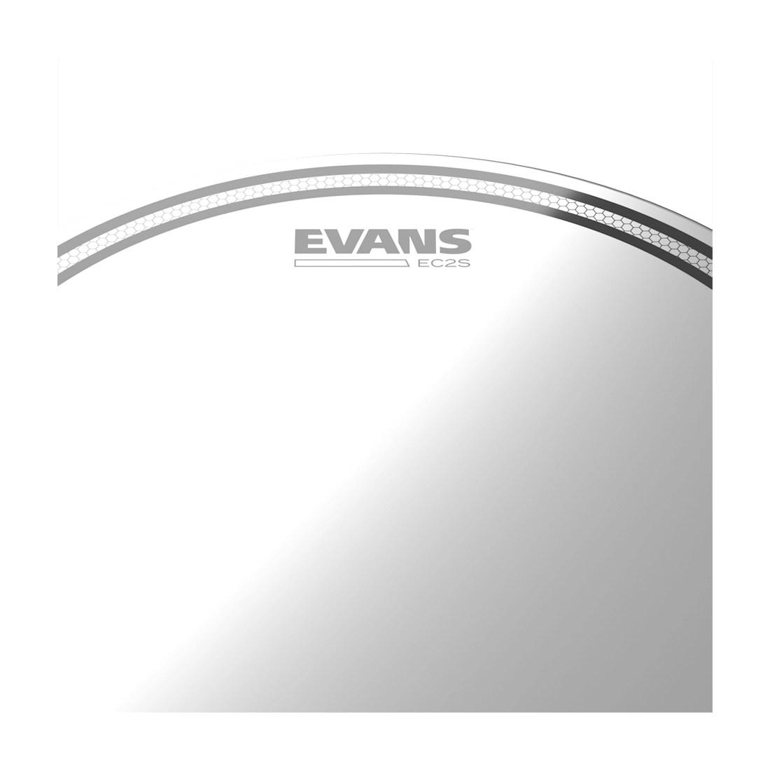 Evans 15 EC2 Coated SST Drum Heads - Premium Snare Drum Accessories for Professional Musicians & Drummers - Perfect for Live Performances, Studio Recording & Practice Sessions
