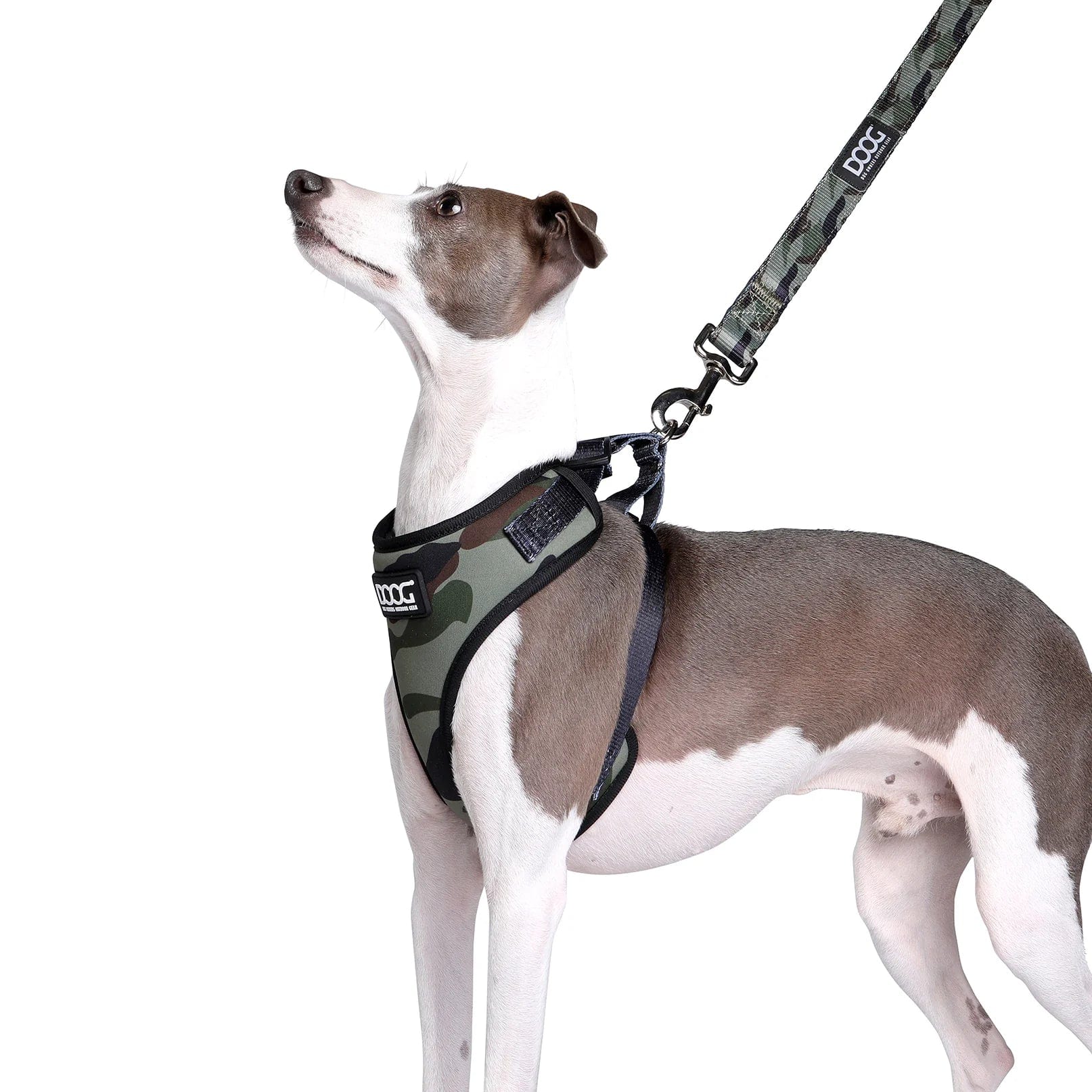 Canine Camo Neoprene Dog Collar - Durable & Adjustable Pet Collar for Medium & Large Dogs - Perfect for Hunting, Hiking & Outdoor Adventures