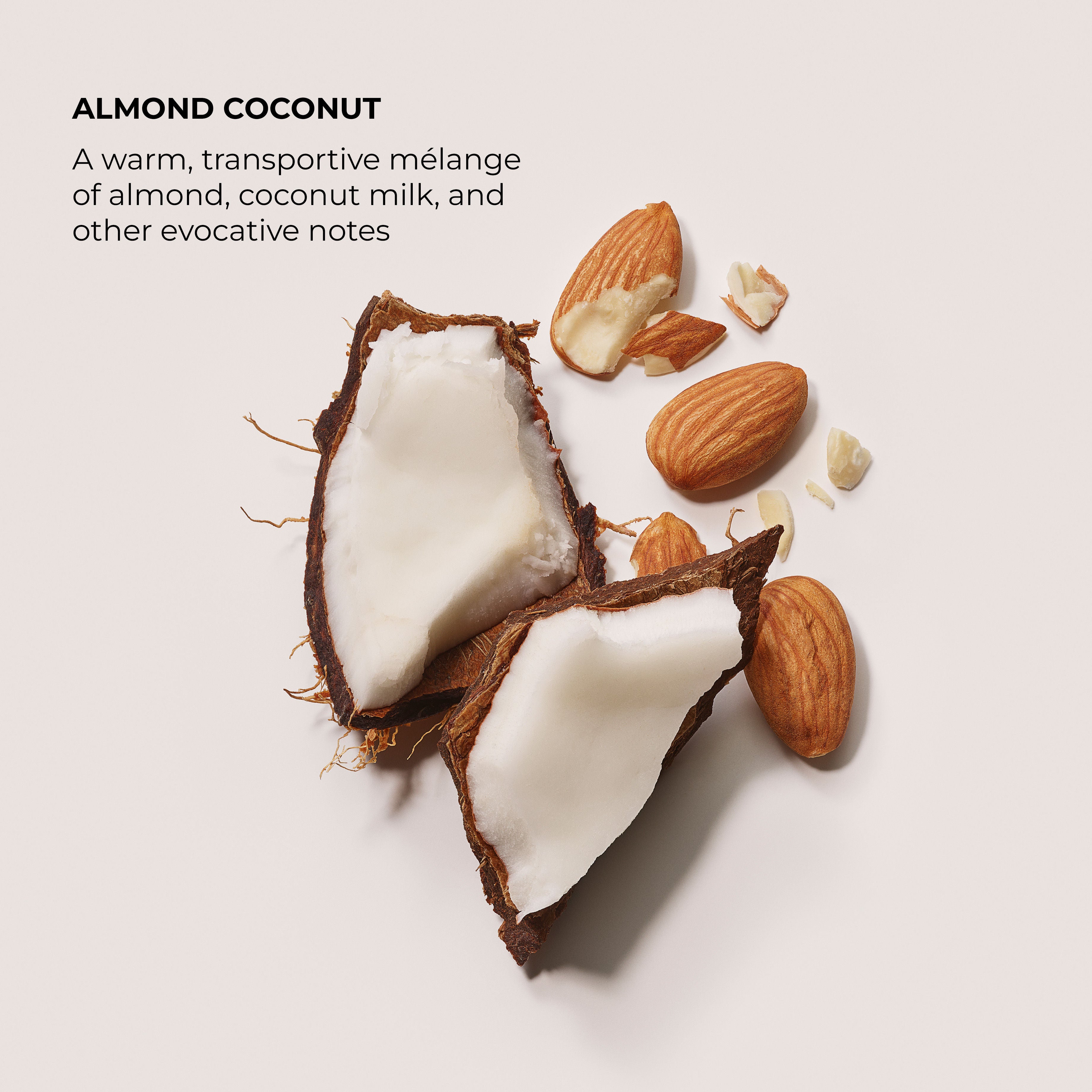 Almond Coconut Soufflé Hand Cream - Ultra Moisturizing & Nourishing for Dry Skin - Perfect for Winter Care, Office Use & Travel