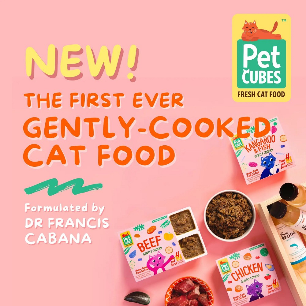Premium Frozen Human-Grade Gently Cooked Chicken Cat Food for Adult Cats - High Protein Meal for Indoor & Outdoor Felines