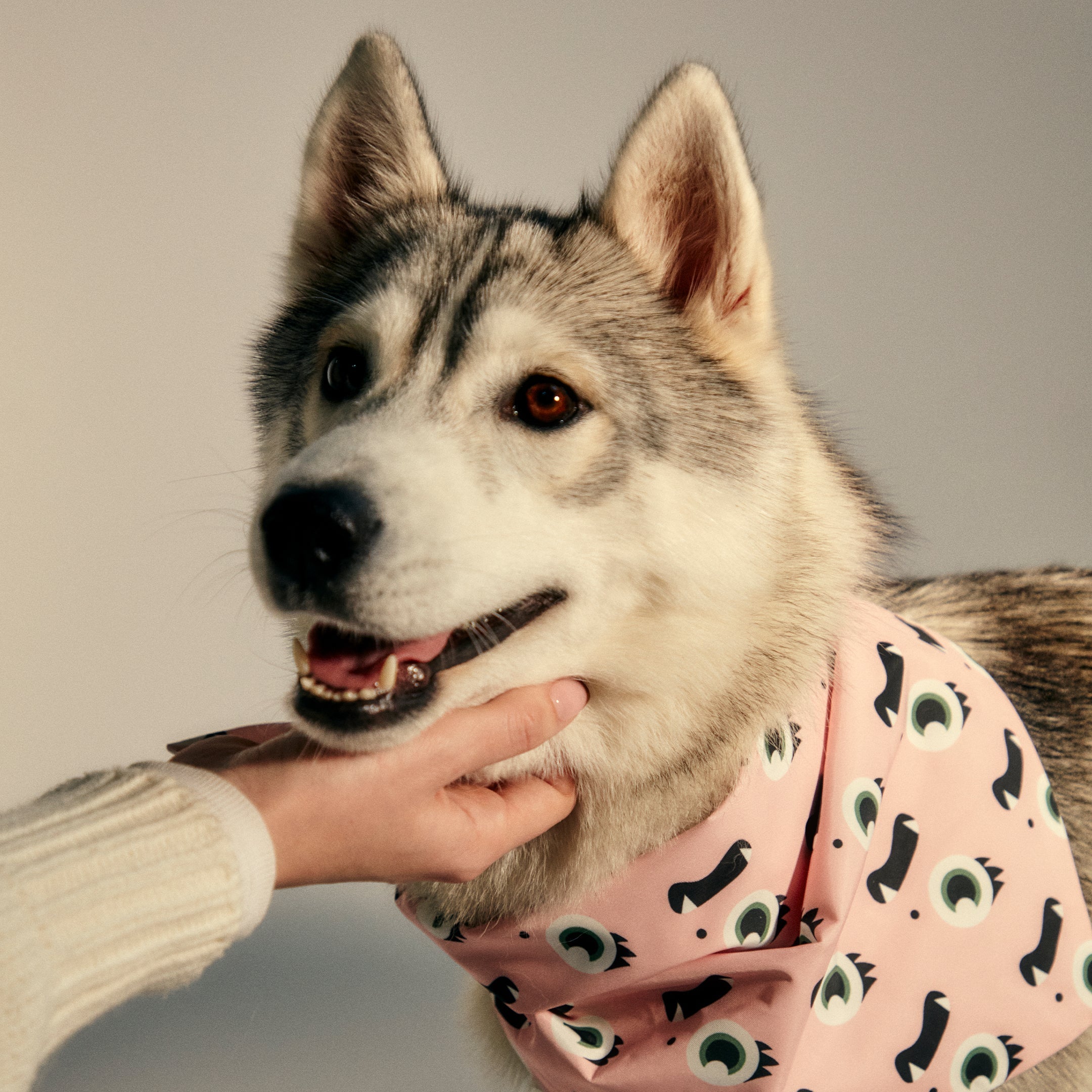 Stylish Pet Bandanas for Dogs & Cats - Soft & Comfortable Dog Bandana & Cat Scarf - Perfect for Holidays, Birthdays & Everyday Wear