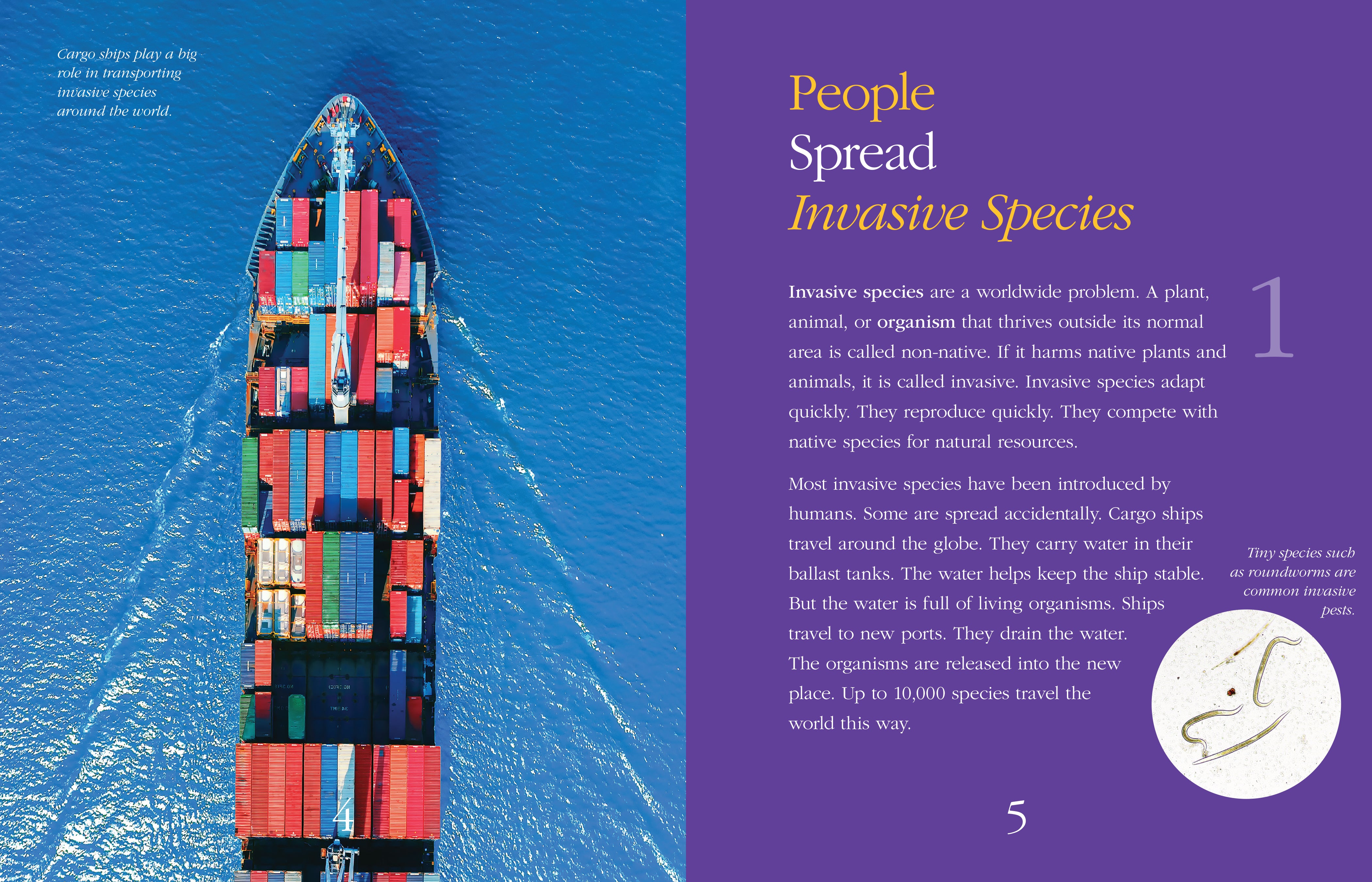12 Essential Facts About Invasive Species - Threats, Impacts & Prevention | Home Garden & Ecosystem Protection Guide